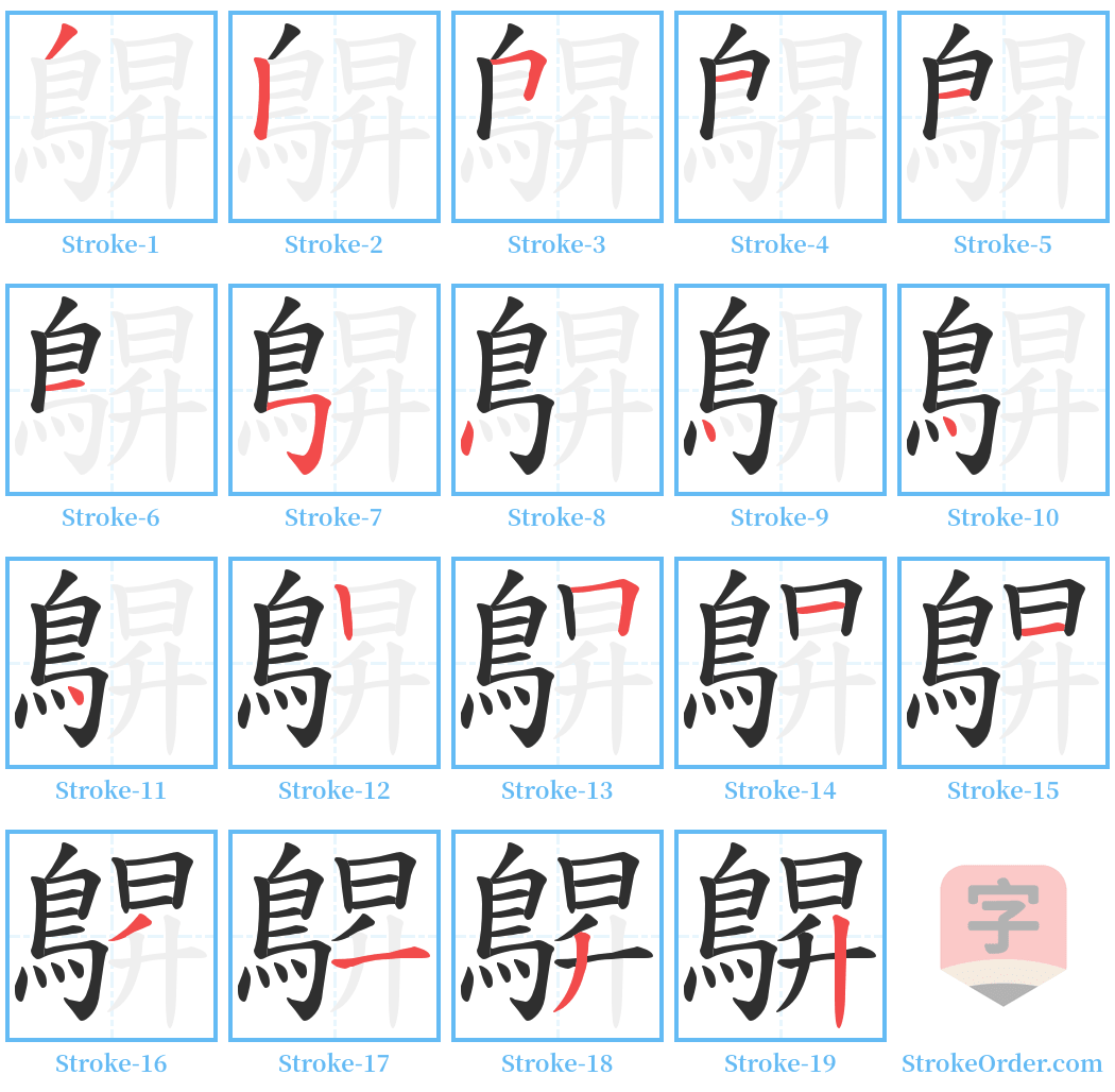 鵿 Stroke Order Diagrams