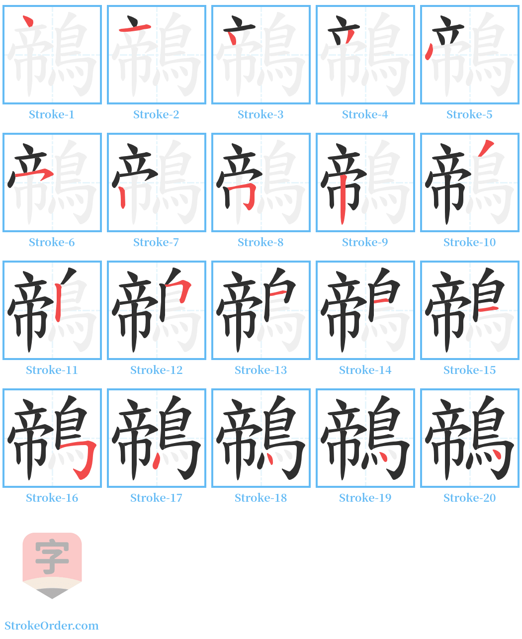 鶙 Stroke Order Diagrams