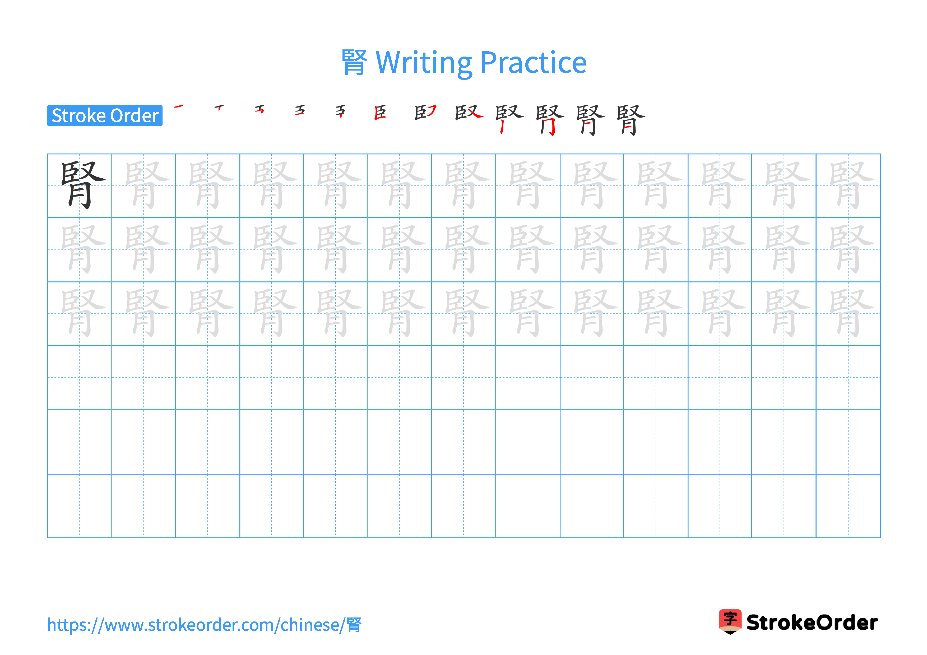 Printable Handwriting Practice Worksheet of the Chinese character 腎 in Landscape Orientation (Tian Zi Ge)